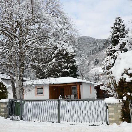 Haus Gerti Villa Zell am See Dış mekan fotoğraf